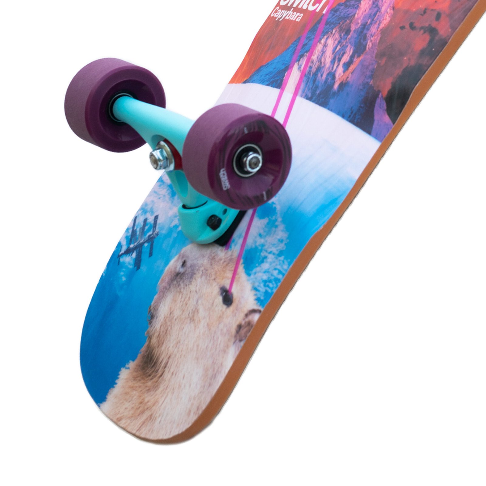 Capybara Collage | Switch Cruiser Skateboard