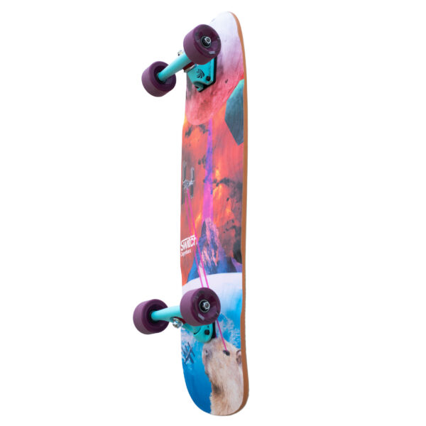 Switch Cruiser Capybara Collage skos PRO set