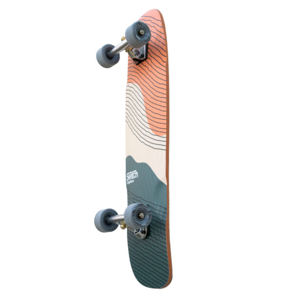 Switch Cruiser Capybara Sunset skos pro