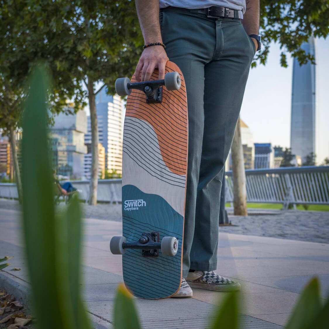 Switch Capybara Sunset Cruiser skateboard lifestyle photo