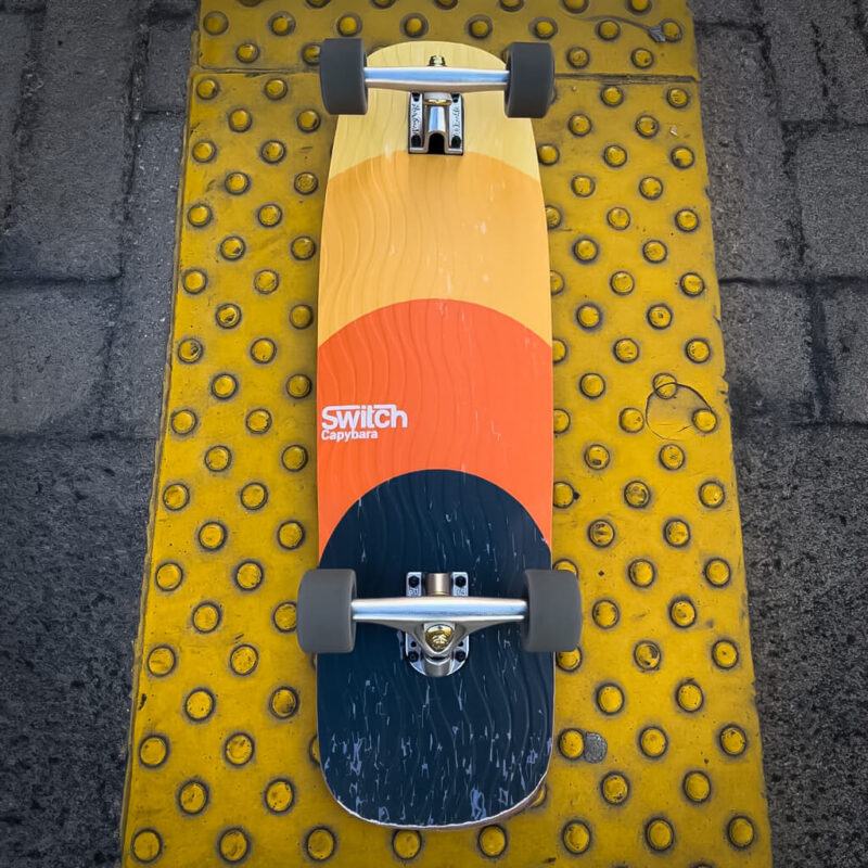 Switch Capybara Bubbles cruiser skateboard deck